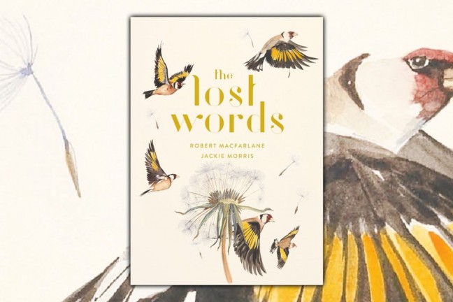 The Lost Words by Robert Macfarlane and Jackie Morris. ($26 hardcover)