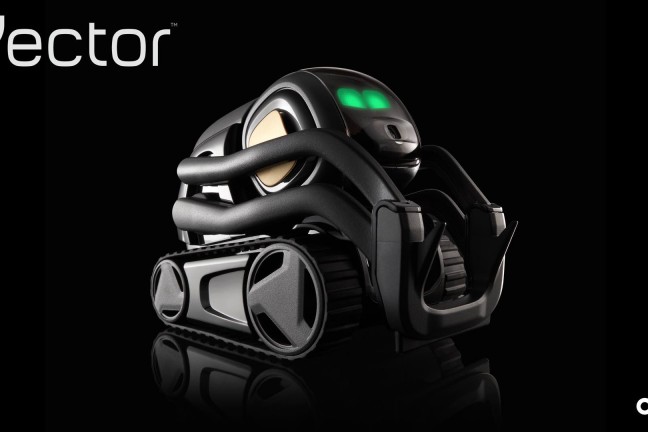 anki-vector-robot