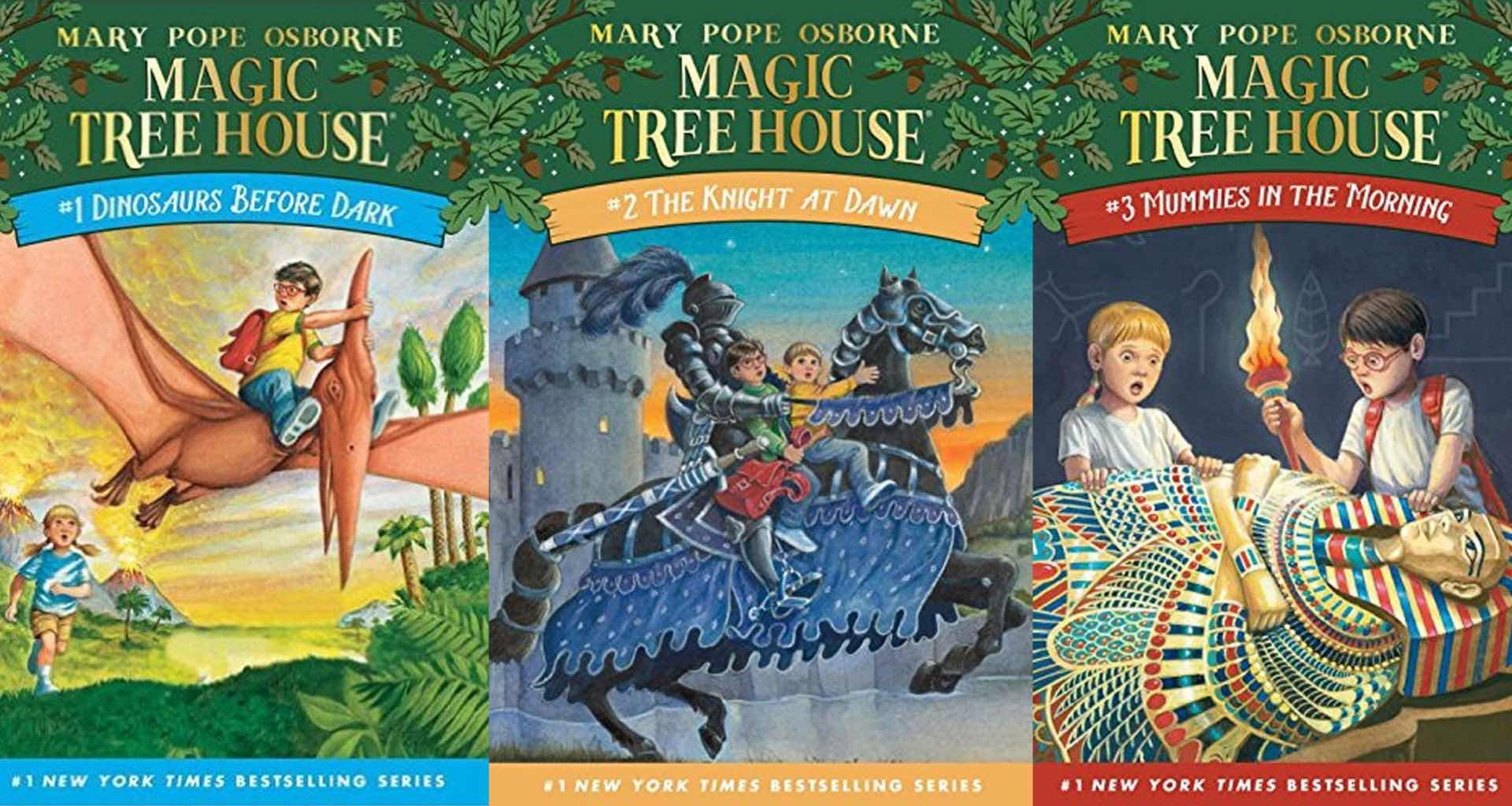 Magic Tree House series by Mary Pope Osborne.