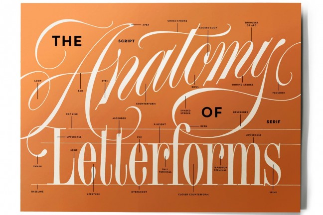 house-industries-the-anatomy-of-letterforms-print-copper