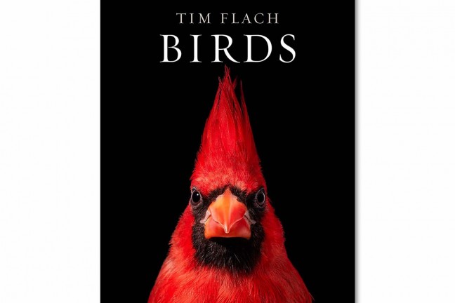 birds-coffee-table-book-by-tim-flach