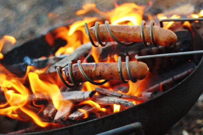 curly-dog-roasting-sticks