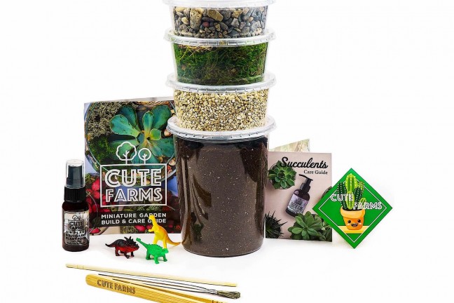 cute-farms-terrarium-starter-kit