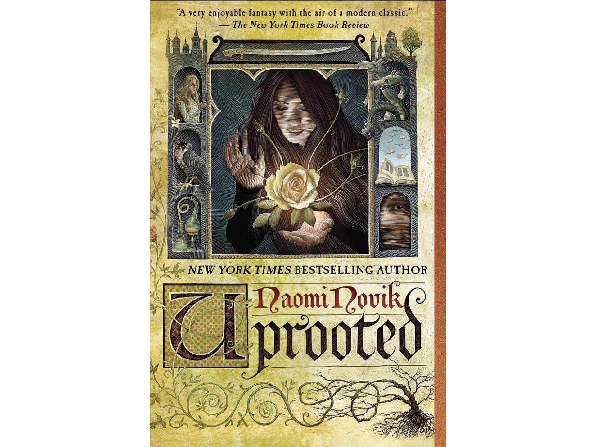 Uprooted by Naomi Novik. ($10 paperback)