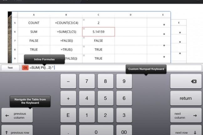 permanent-spreadsheet-ipad