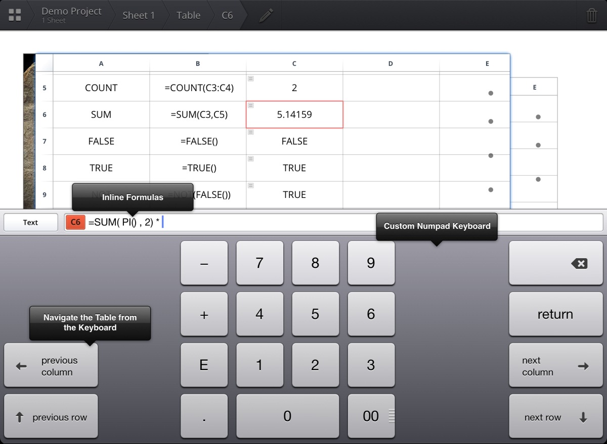 permanent-spreadsheet-ipad